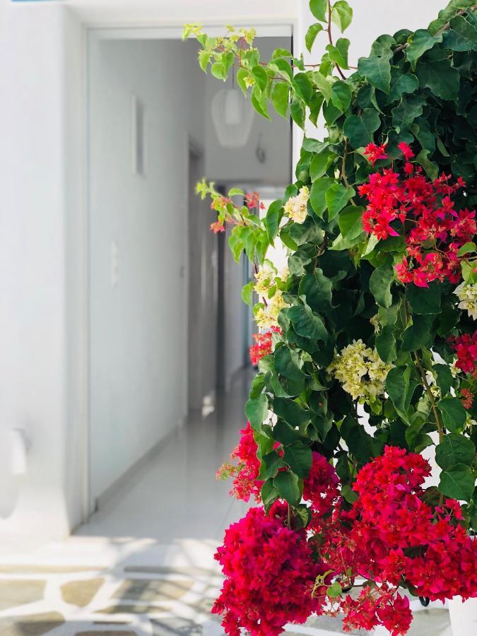 Taki'S Guests Bed & Breakfast Naxos City Exterior photo